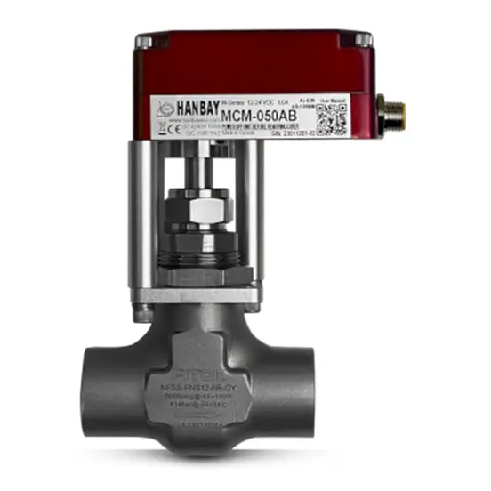 Hanbay Actuator Fitok Needle Valve MCM 050AB NFSS FNS12 6R Y 