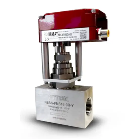 Hanbay Actuator Fitok Needle Valve MCM NBSS FNS16 OR Y 