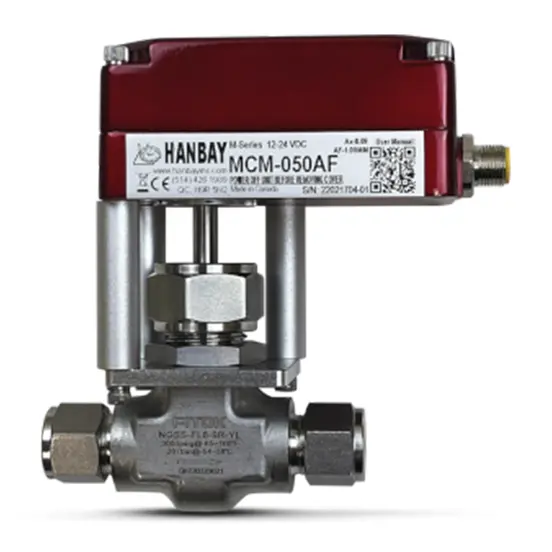 Hanbay Actuator Fitok Needle Valve MCM NGSS FL8 9R YL 