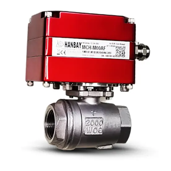 Hanbay Actuator Howell Ball Valve MCH H280F SS IP R 100 