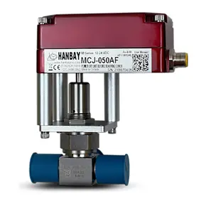 WEB-Hanbay-Actuator-Swagelok-3-Way-Valve-MCJ-6LV-BNCV333.png