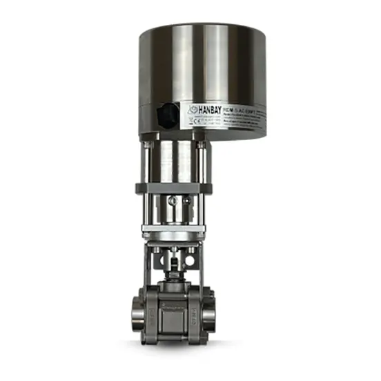 WEB-Hanbay-Actuator-Swagelok-Ball-Valve-RDM-S-SS-63TF8.png