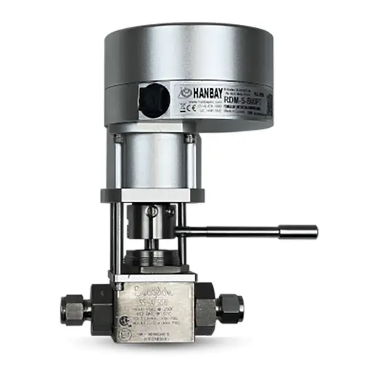Hanbay Actuator Swagelok Ball Valve RDM S SS AFSS6 