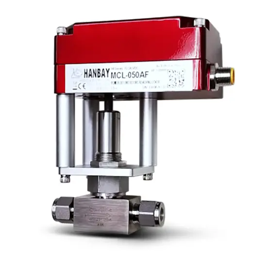 Hanbay Actuator Swagelok Bellow Valve MCL SS 6BK 