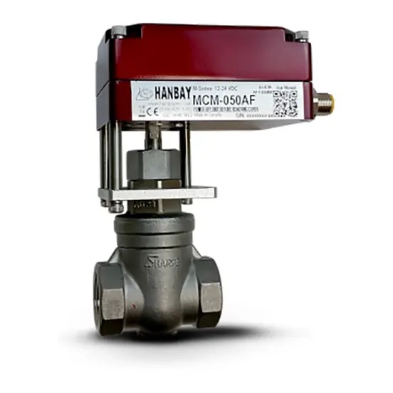Hanbay Actuator Swagelok Gate Valve MCM 30276 