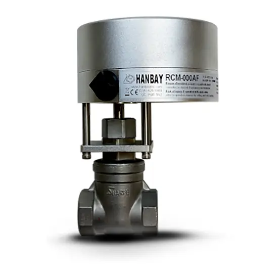Hanbay Actuator Swagelok Gate Valve RCM 30276 