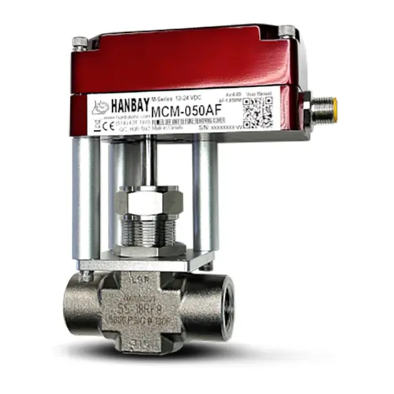 Hanbay Actuator Swagelok Needle Valve MCM SS 18RF8(1) 