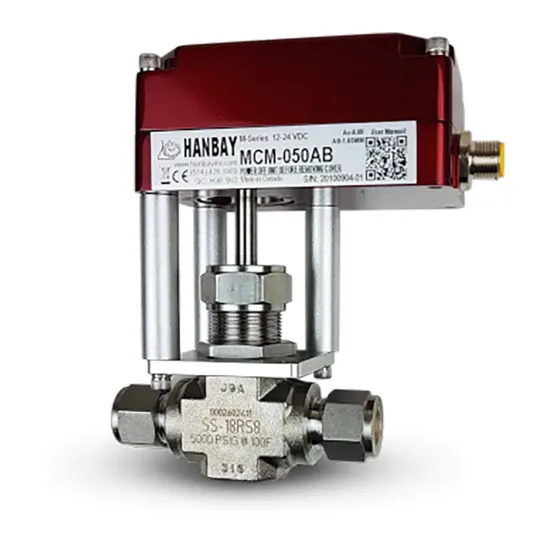 WEB-Hanbay-Actuator-Swagelok-Needle-Valve-MCM-SS-18RS8.png