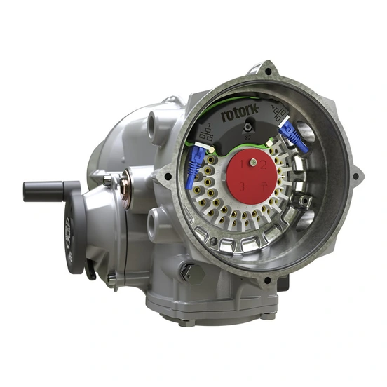 Integrated Ethernet IQT-RJ45.jpg