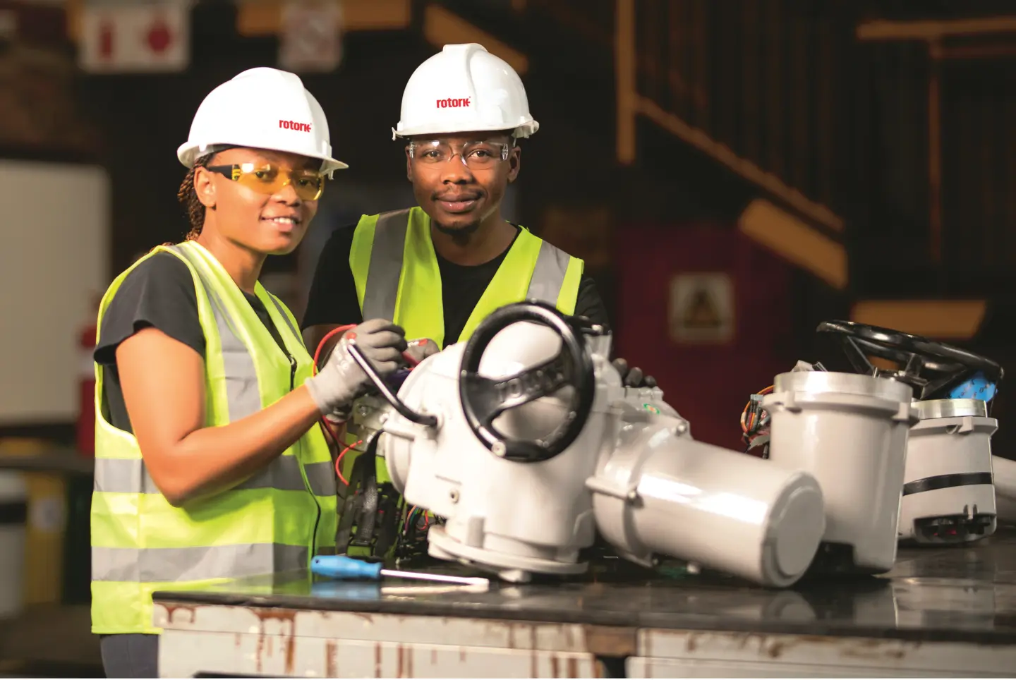 Rotork Diversity and Inclusion.jpg