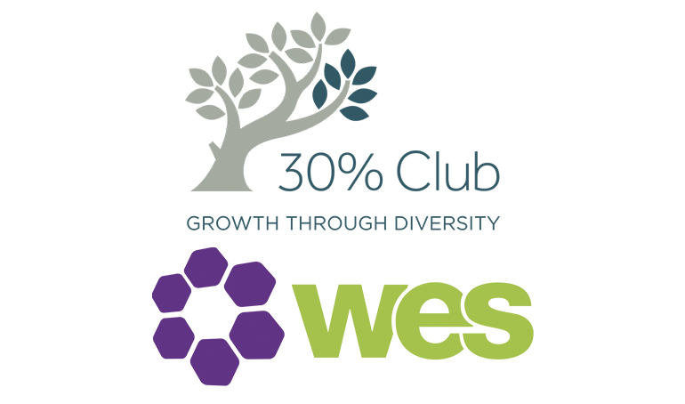 web-edi-wes.jpg
