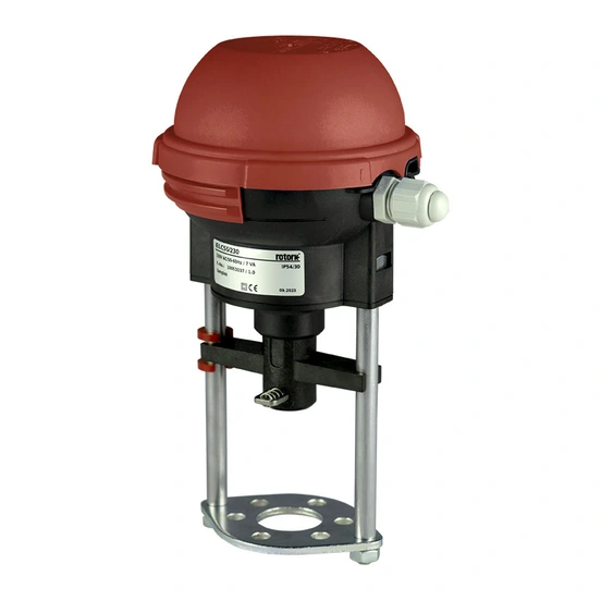 Web - ELC 55_2_Main.jpg