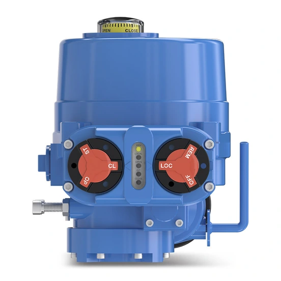 Noah NA Local Control Unit model