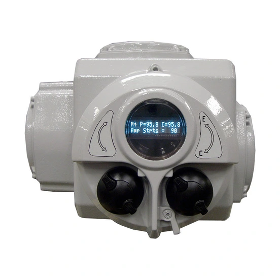 SM-6000 S2 heavy duty electric rotary actuator